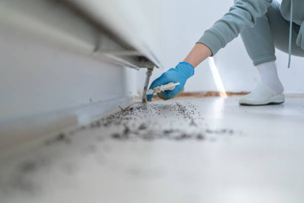 Best Flea Control Services  in Birngham, MI